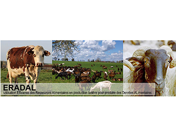 ERADAL : efficience des ressources alimentaires en systèmes laitiers