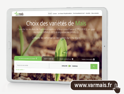 VARMAÏS, outil en ligne de référence, évaluer et choisir les variétés de maïs en France